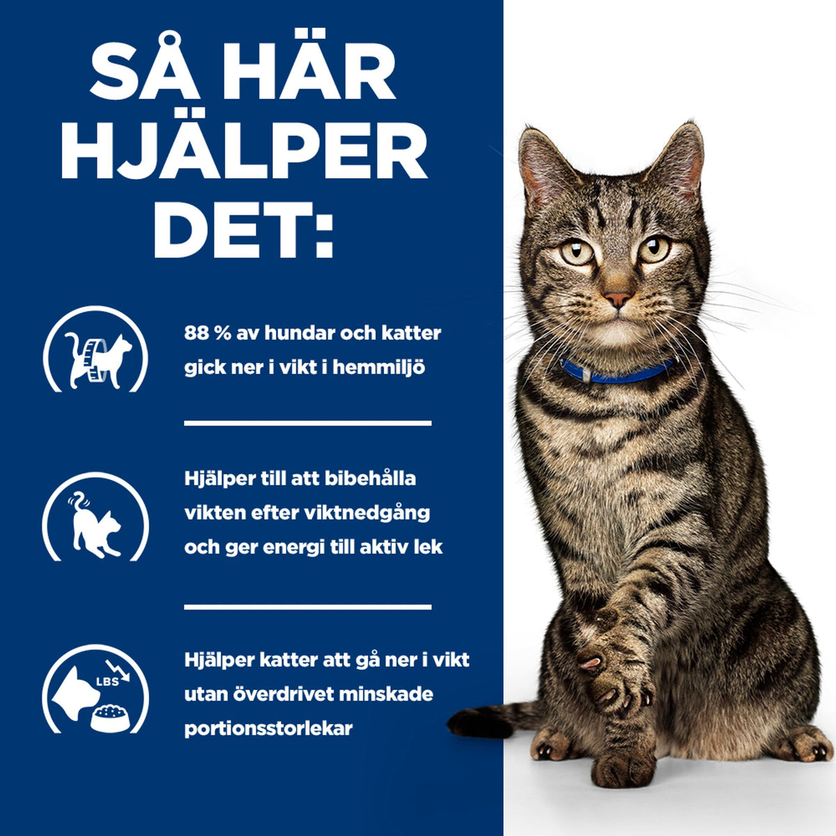 Hill's Prescription Diet Metabolic kattfoder med lax