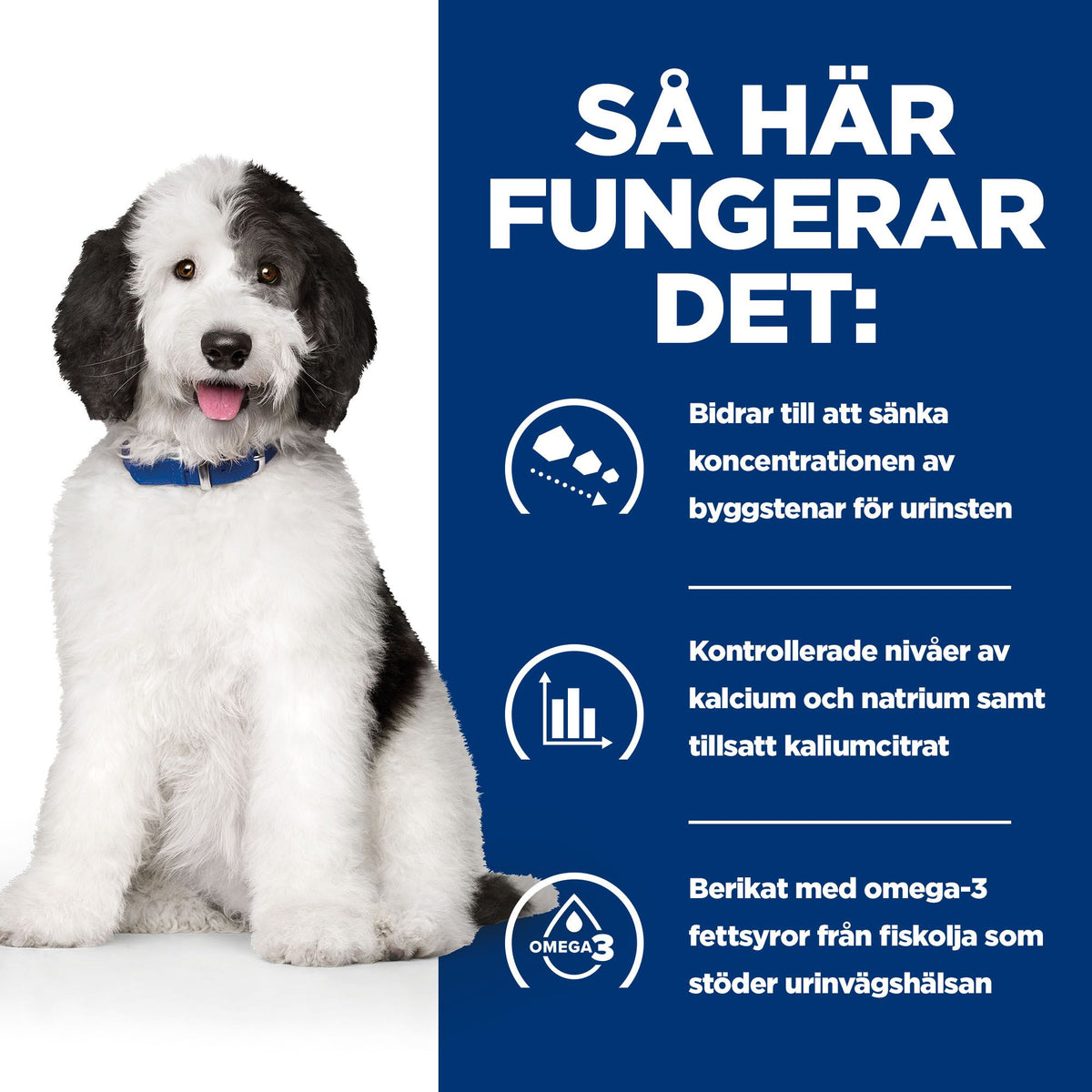 Hill's Prescription Diet c/d Multicare hundfoder