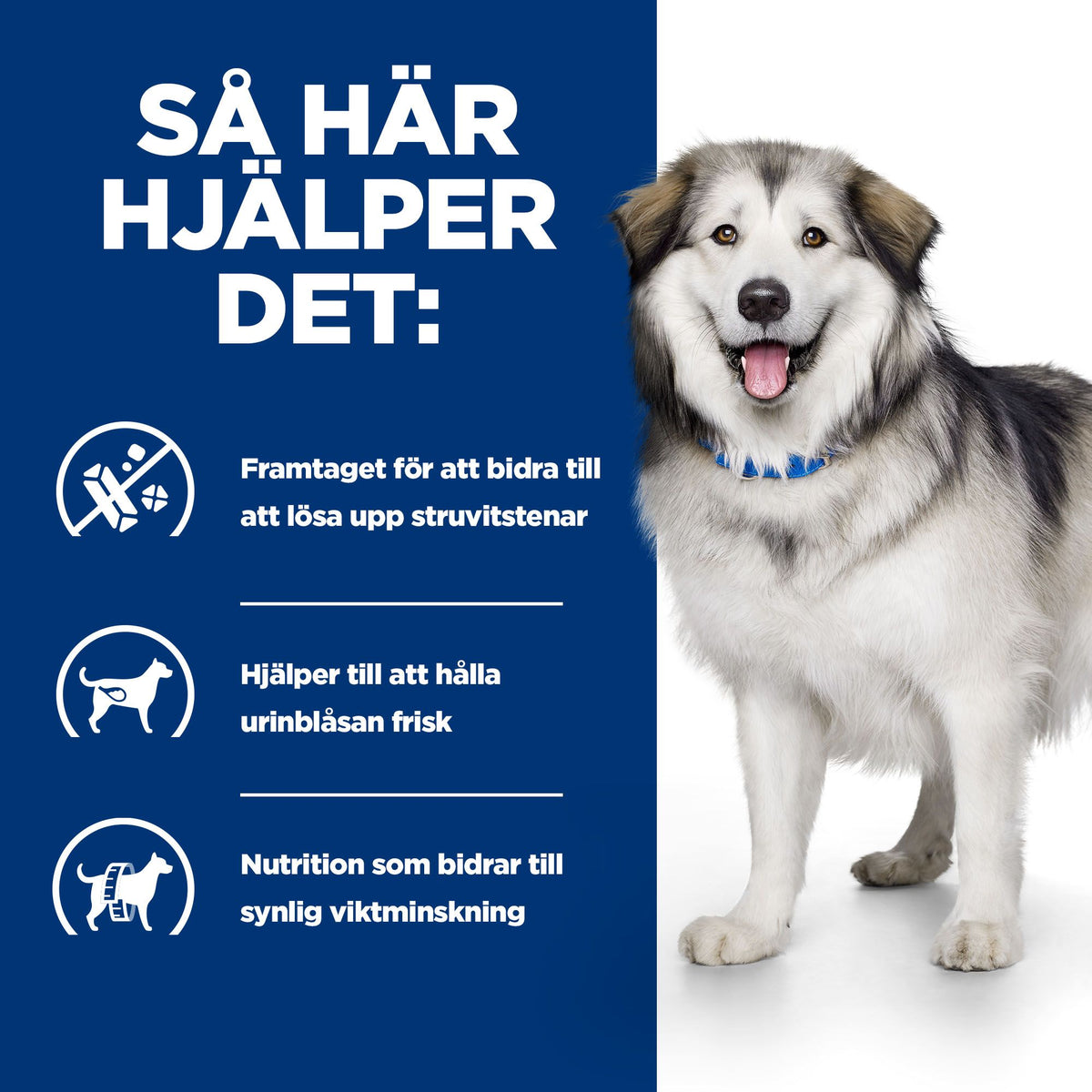 Hill's Prescription Diet c/d Multicare + Metabolic Adult Hundfoder