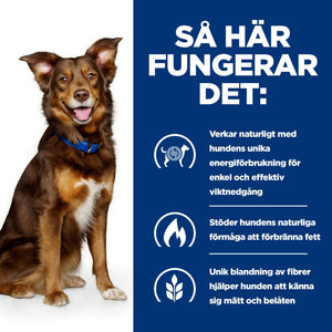 Hill's Prescription Diet Metabolic Adult Hundfoder Lamm & Ris