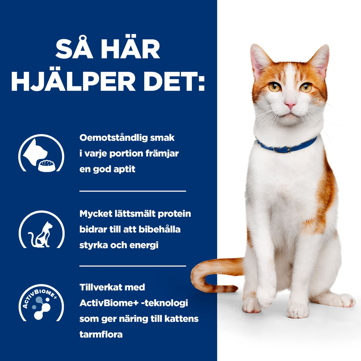 Hill's Prescription Diet On-Care kattfoder stew med kyckling & tillsatta grönsaker