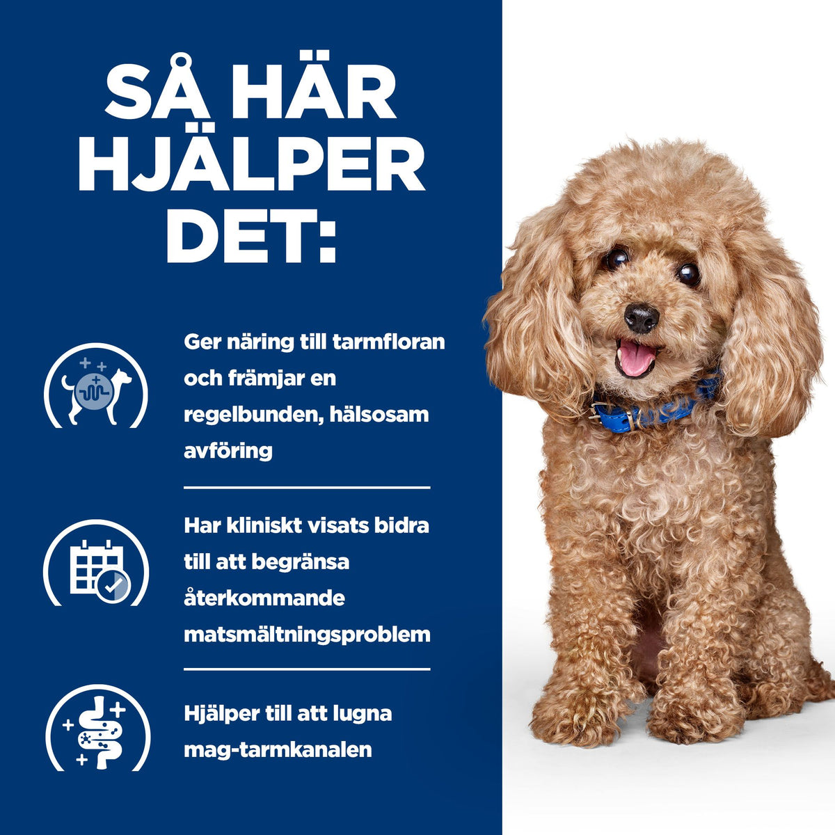Hill's Prescription Diet Gastrointestinal Biome Adult Hundfoder