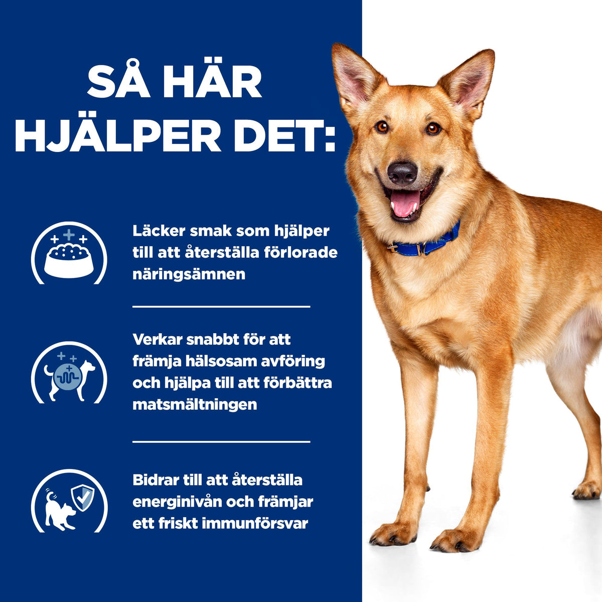 Hill's Prescription Diet i/d hundfoder