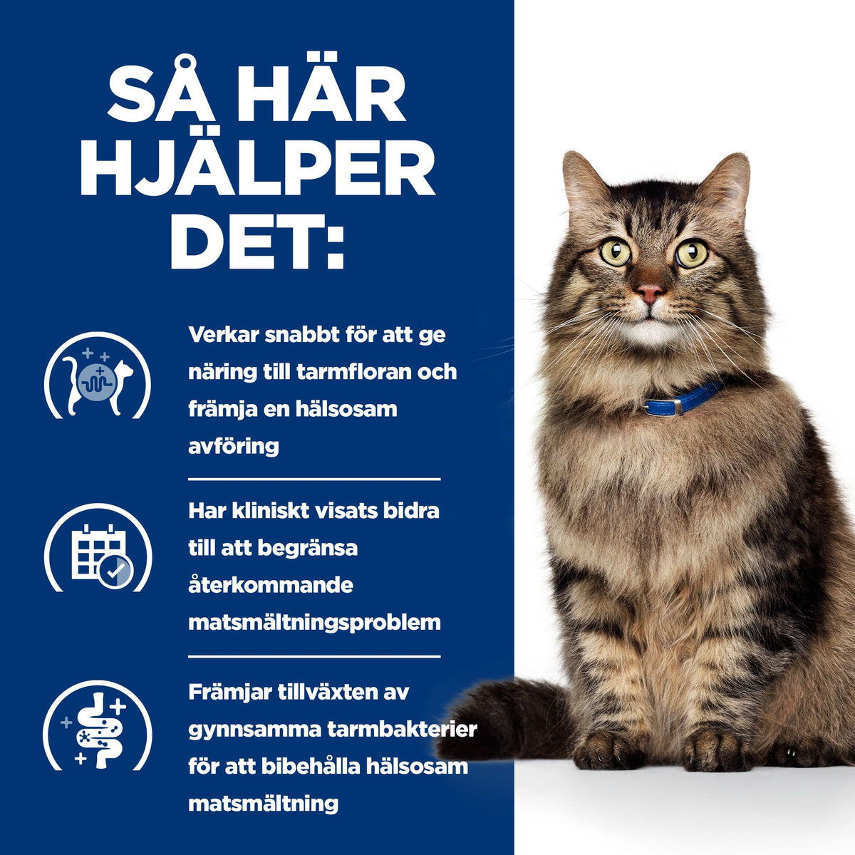 Hill's Prescription Diet Gastrointestinal Biome kattfoder stew med kyckling & tillsatta grönsaker