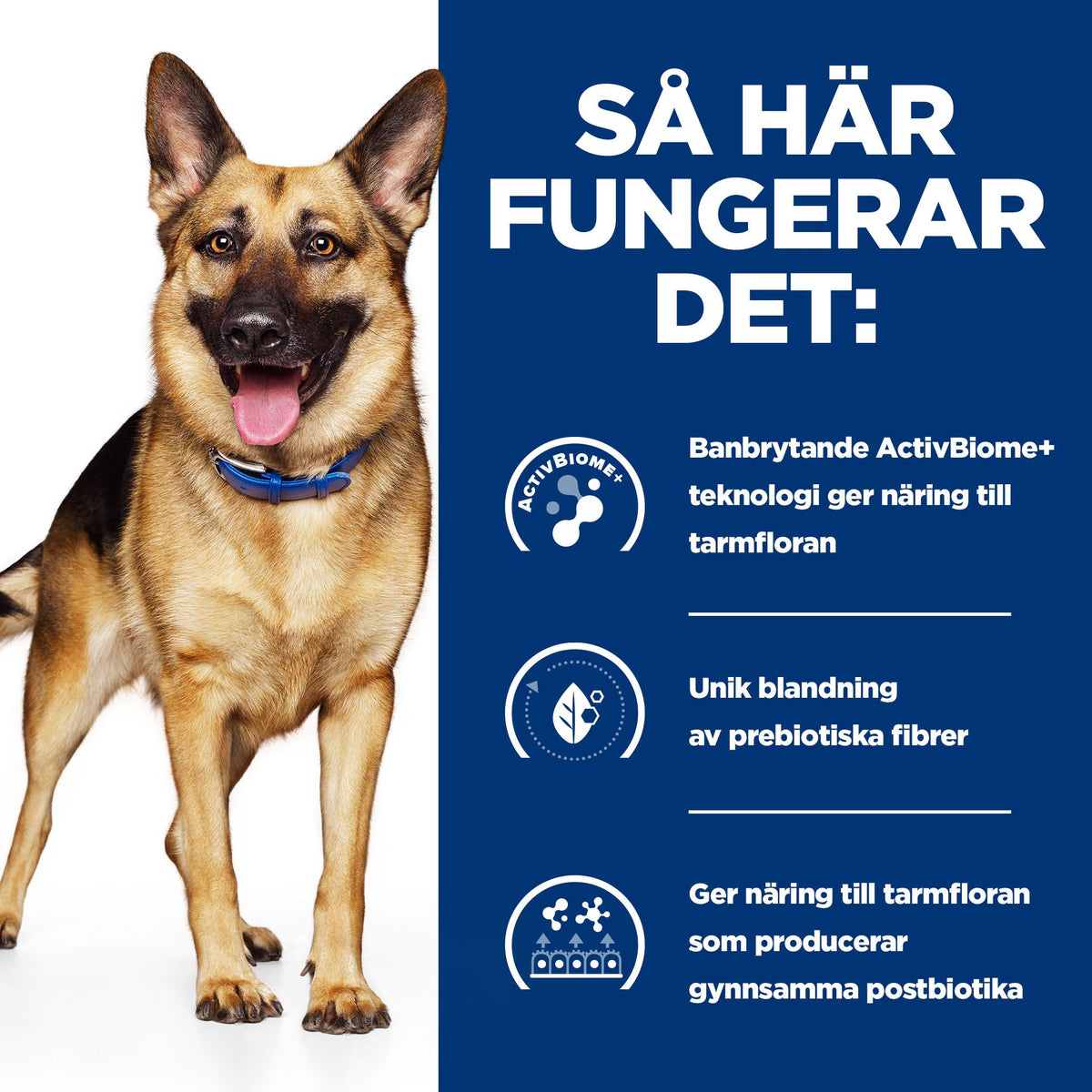 Hill's Prescription Diet Gastrointestinal Biome hundfoder stew med kyckling & grönsaker
