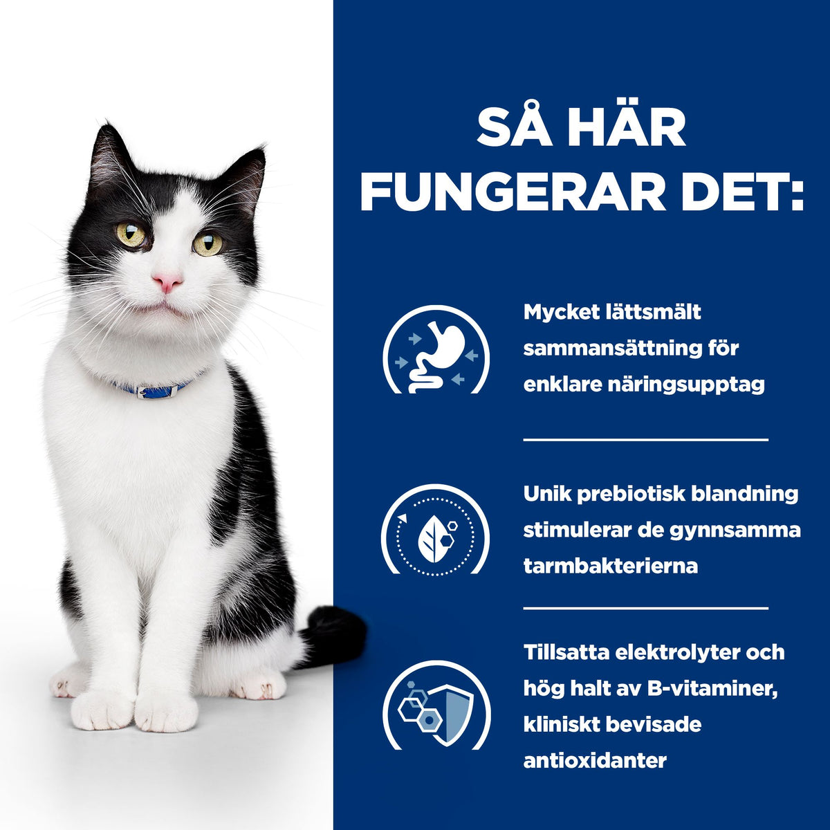 Hill's Prescription Diet i/d Kattfoder Kyckling