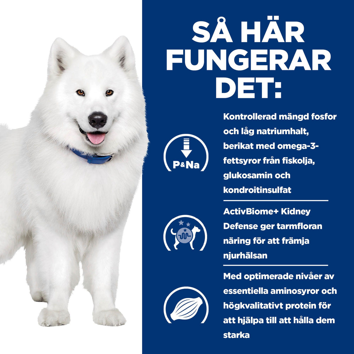 Hill's Prescription Diet k/d + Mobility hundfoder med smak av kyckling