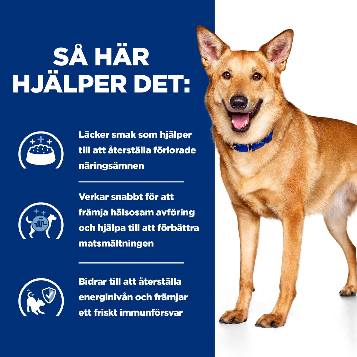 Hill's Prescription Diet i/d hundfoder med kalkon