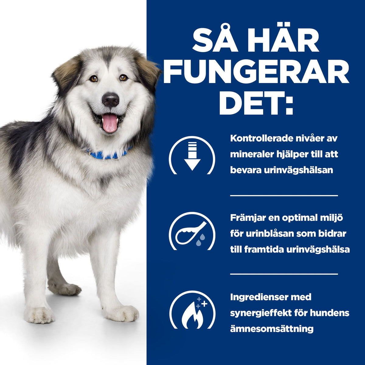 Hill's Prescription Diet c/d Multicare + Metabolic Adult Hundfoder