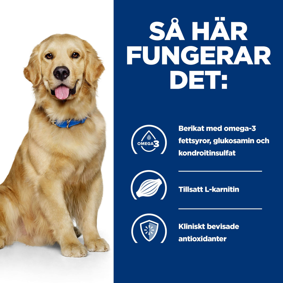 Hill's Prescription Diet j/d hundfoder med kyckling