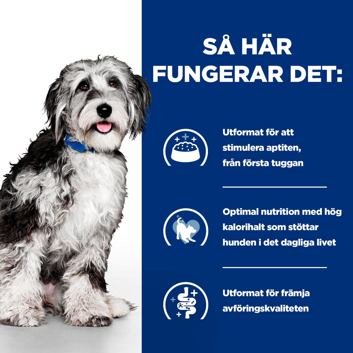 Hill's Prescription Diet On-Care hundfoder stew med kyckling & tillsatta grönsaker