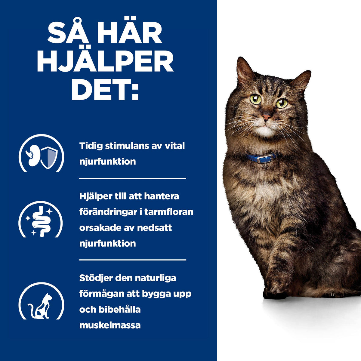 Hill's Prescription Diet k/d Early Stage Adult Kattfoder