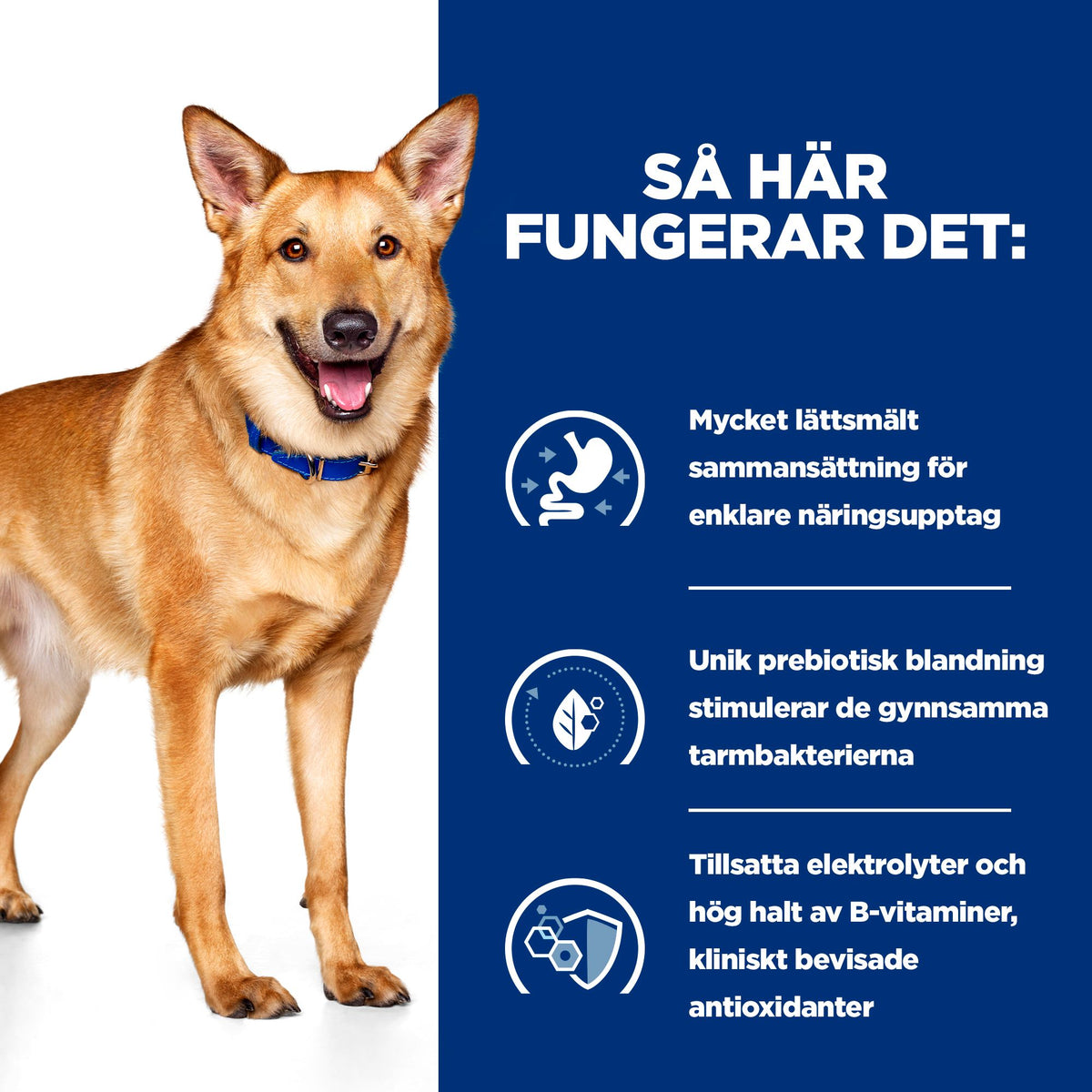 Hill's Prescription Diet i/d hundfoder stew med kyckling & tillsatta grönsaker