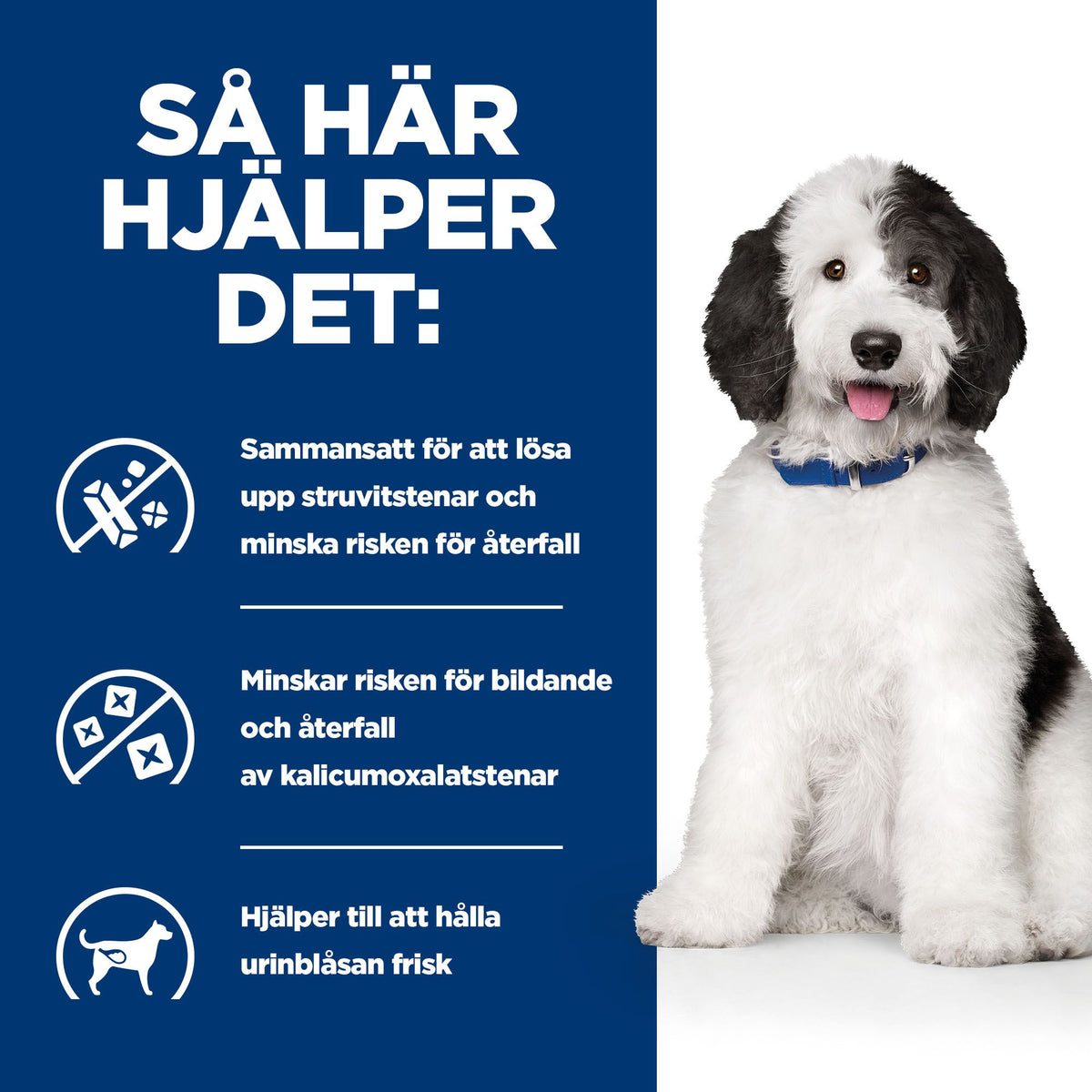 Hill's Prescription Diet c/d Multicare Adult Hundfoder Kyckling & Grönsaker