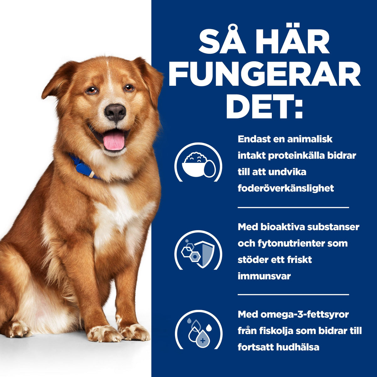 Hill's Prescription Diet Derm Complete hundfoder