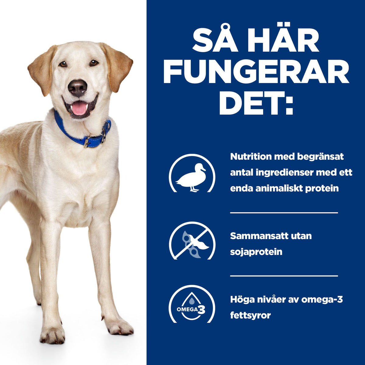 Hill's Prescription Diet d/d Adult Hundfoder Anka & Ris