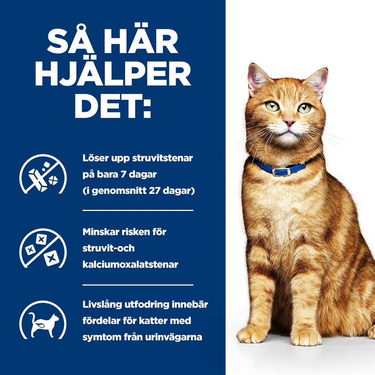 Hill's Prescription Diet c/d Multicare Adult Kattfoder Lax