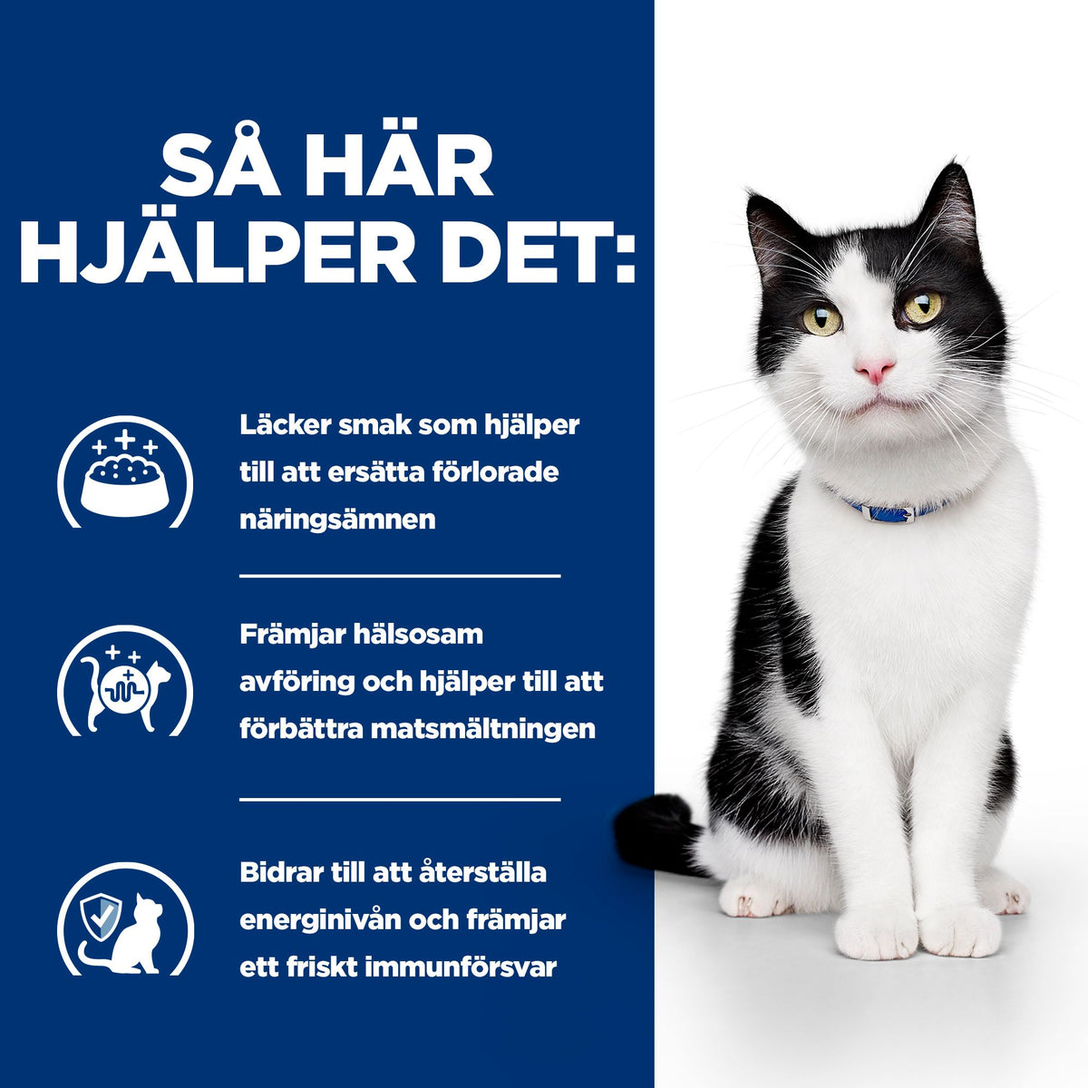 Hill's Prescription Diet i/d kattfoder stew med kyckling & tillsatta grönsaker