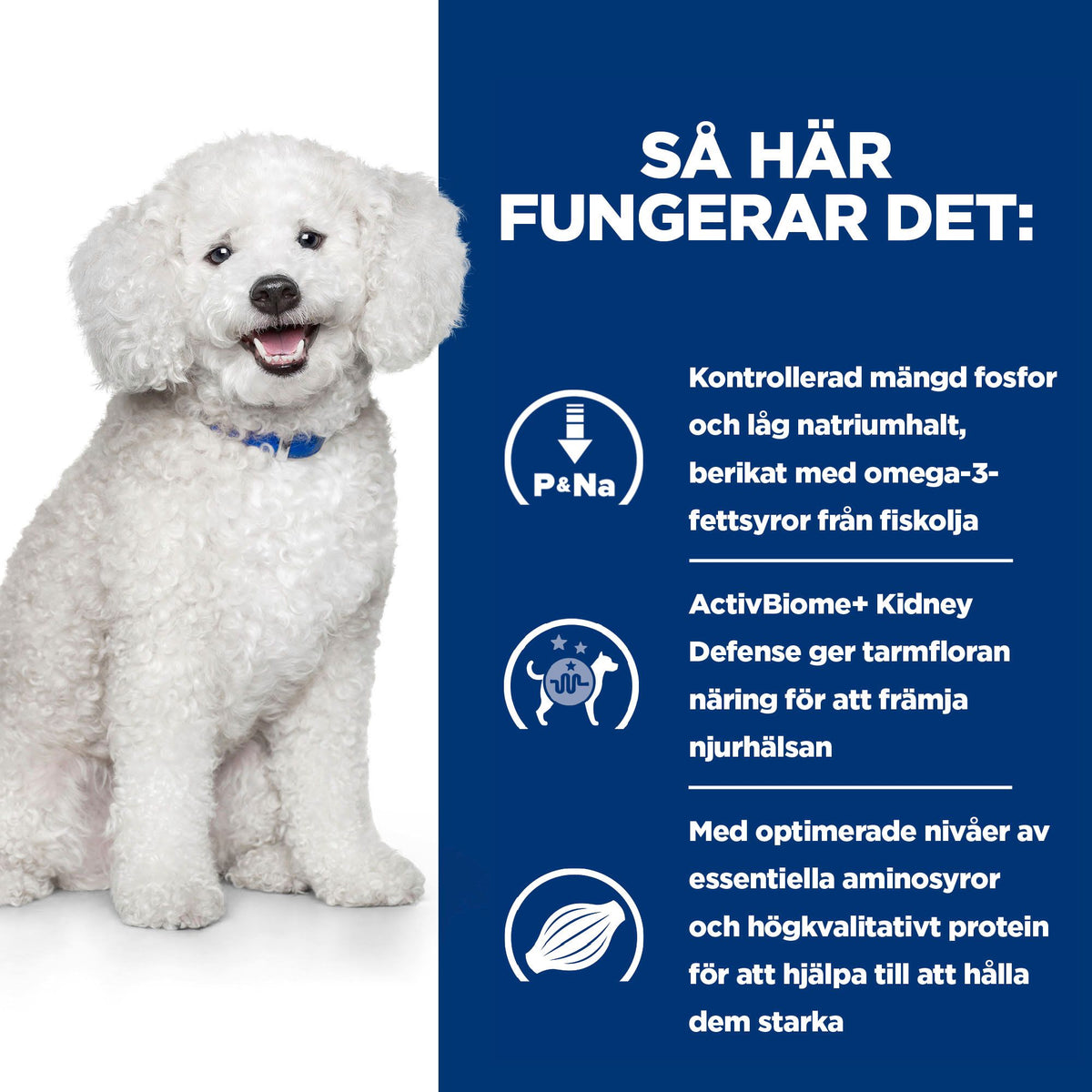 Hill's Prescription Diet k/d Early Stage Adult Hundfoder