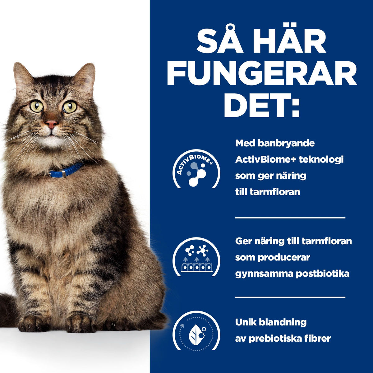 Hill's Prescription Diet Gastrointestinal Biome kattfoder stew med kyckling & tillsatta grönsaker