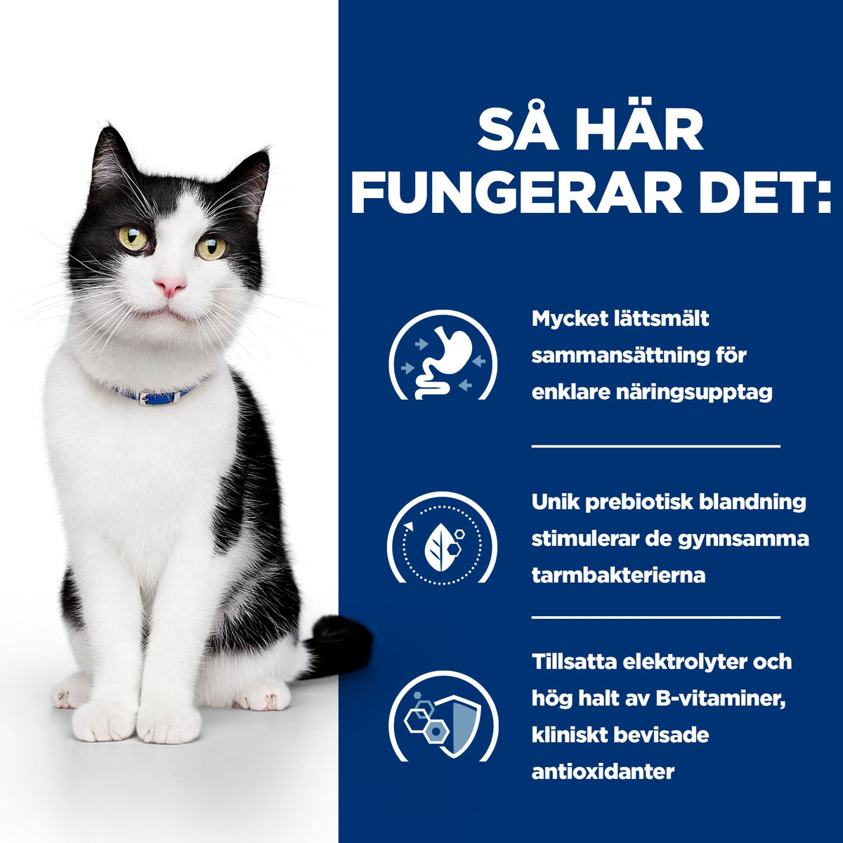 Hill's Prescription Diet i/d kattfoder stew med kyckling & tillsatta grönsaker