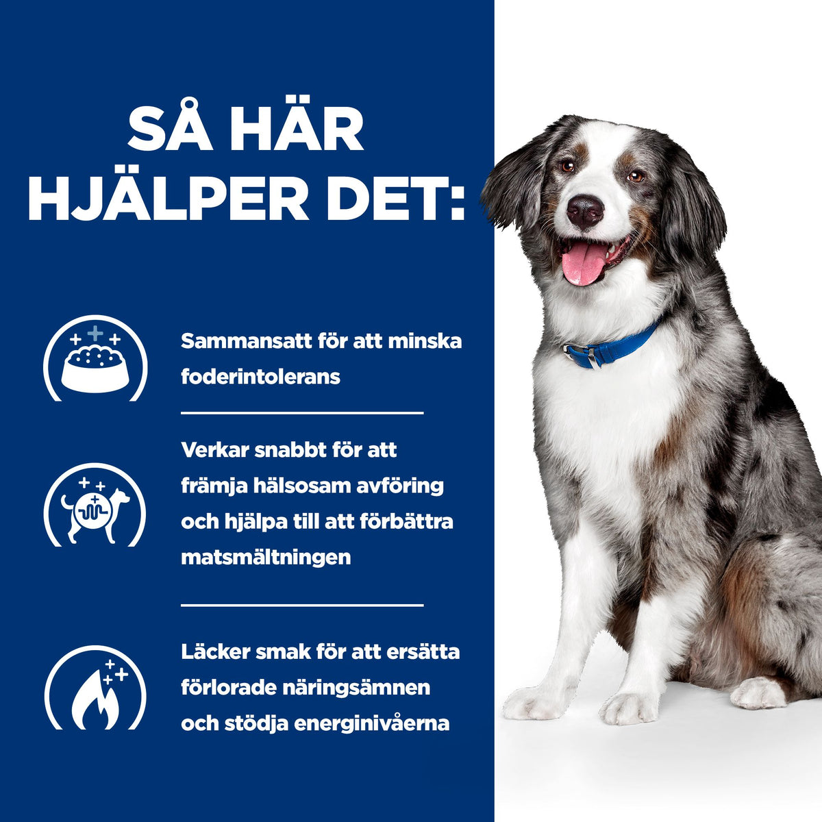 Hill's Prescription Diet i/d Sensitive torrfoder för hund