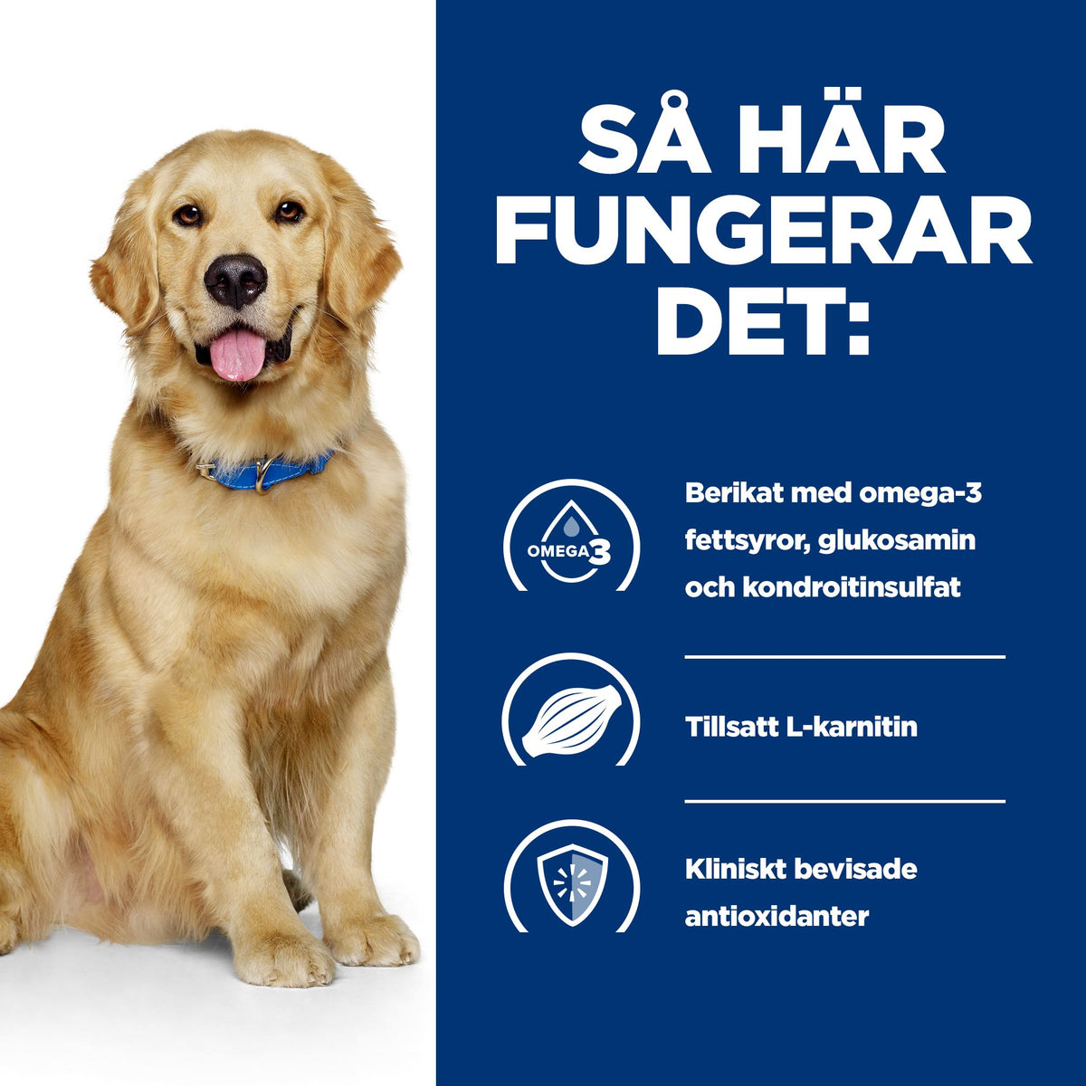 Hill's Prescription Diet j/d Reduced Calorie Adult Hundfoder med Kyckling