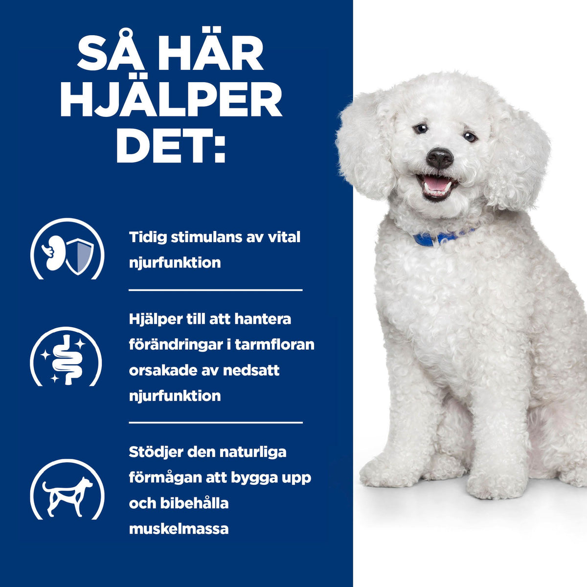 Hill's Prescription Diet k/d Early Stage Adult Hundfoder