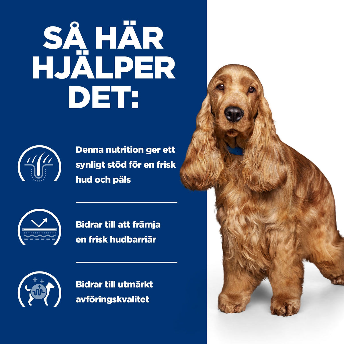 Hill's Prescription Diet z/d hundfoder