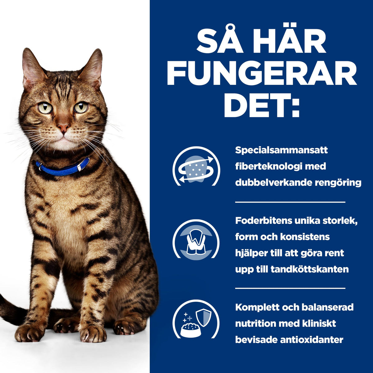 Hill's Prescription Diet t/d Adult Kattfoder
