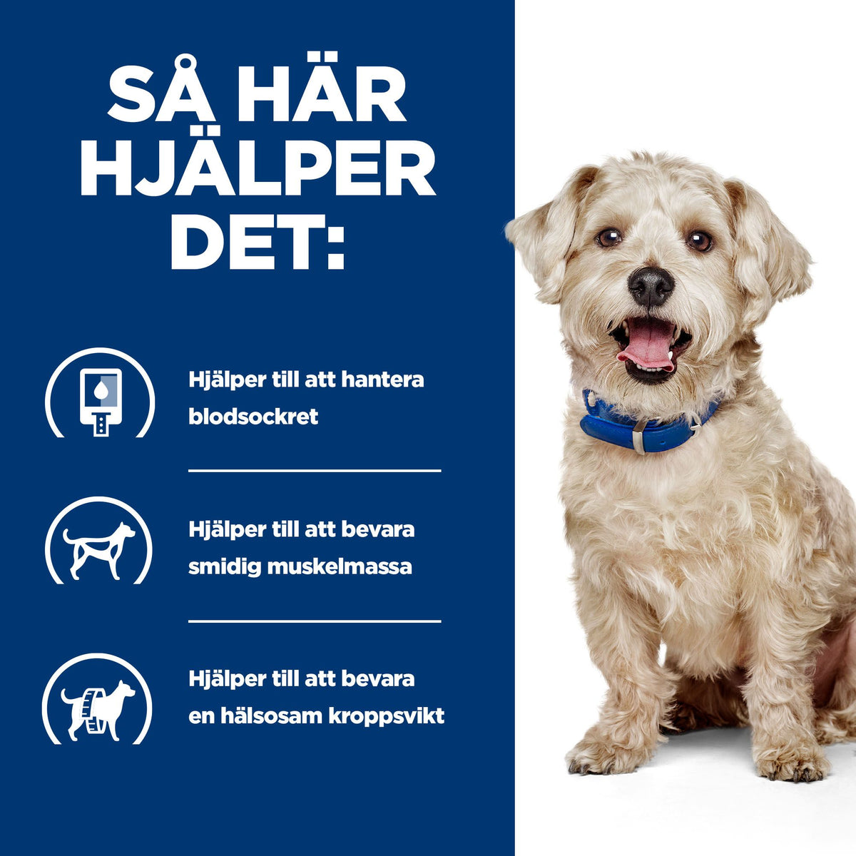 Hill's Prescription Diet w/d hundfoder med kyckling
