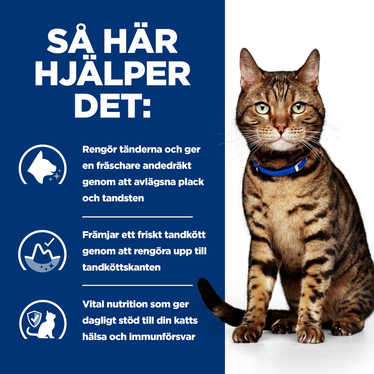 Hill's Prescription Diet t/d Adult Kattfoder