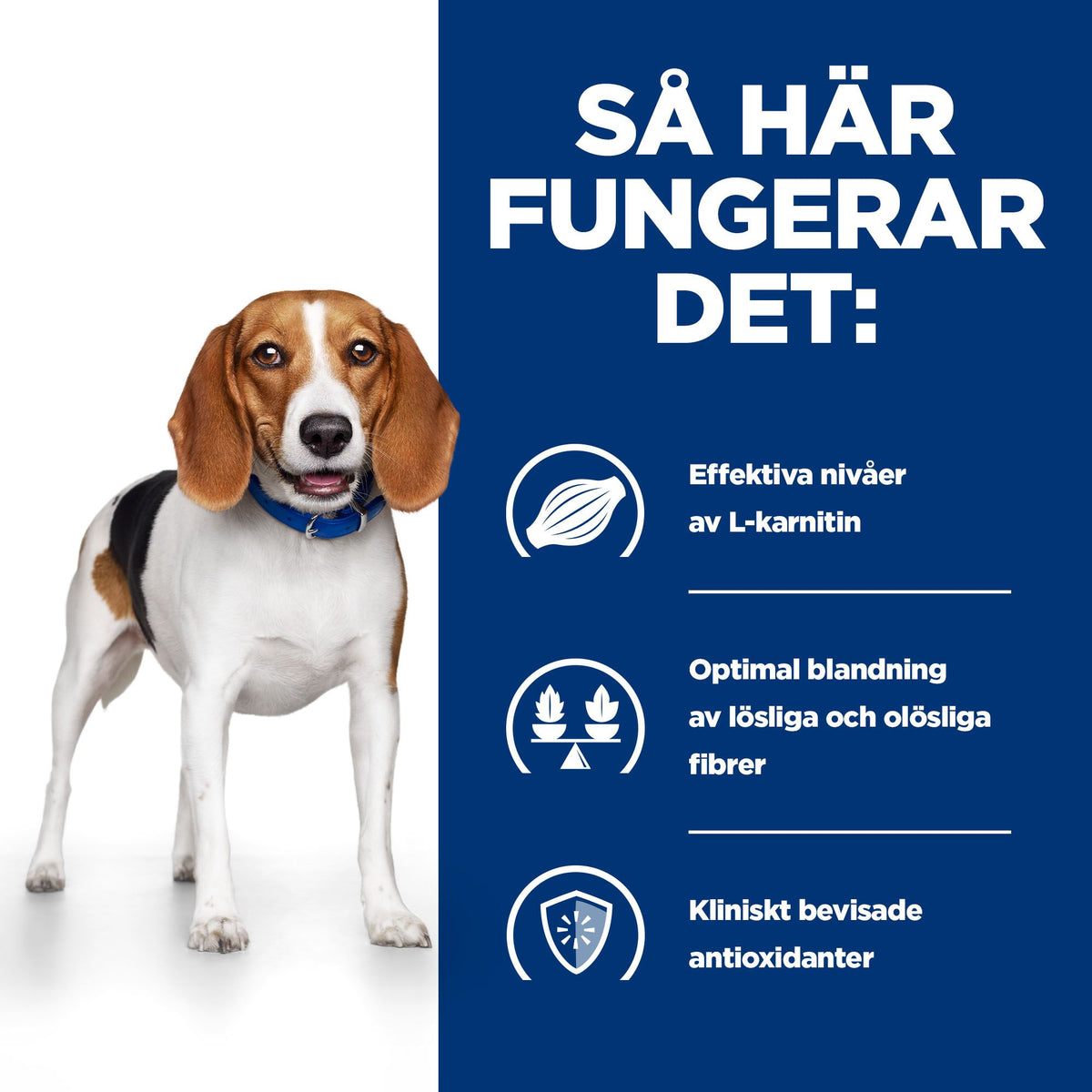 Hill's Prescription Diet r/d hundfoder med kyckling