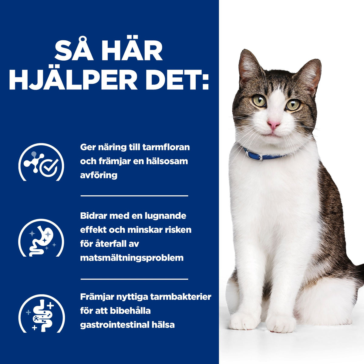 Hill's Prescription Diet Gastrointestinal Biome Stress Adult Kattfoder Kyckling & Grönsaker