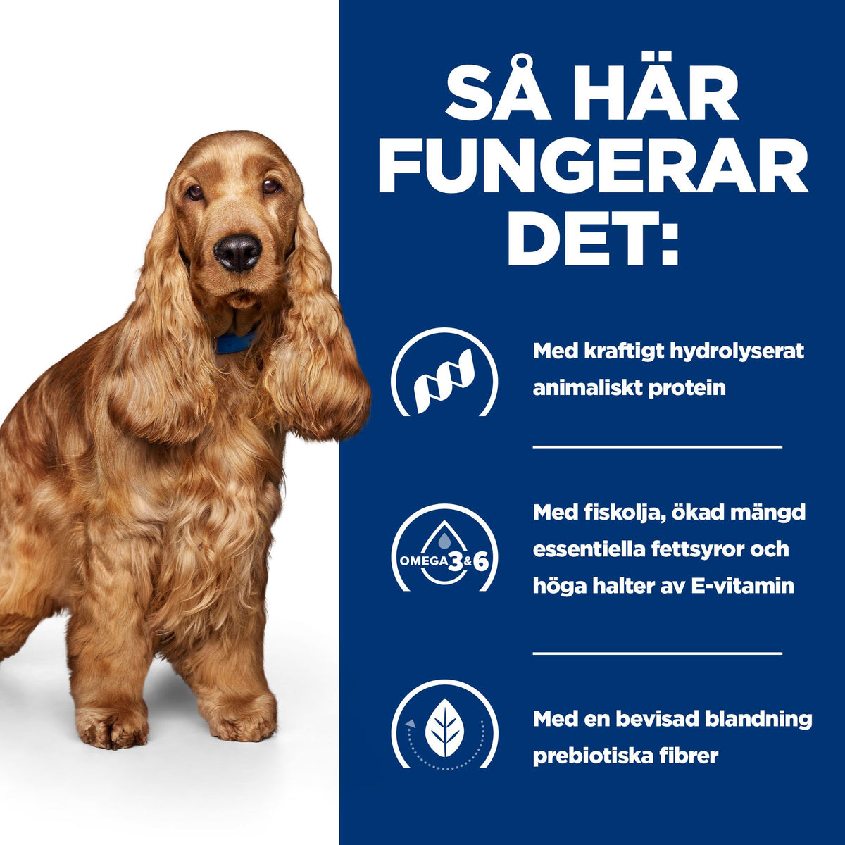 Hill's Prescription Diet z/d hundfoder