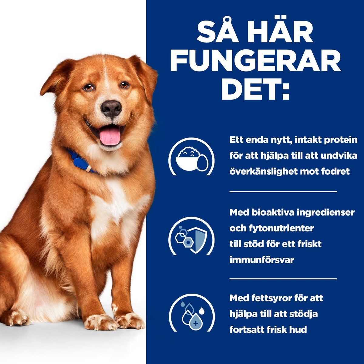 Hill's Prescription Diet Derm Complete Adult Hundfoder