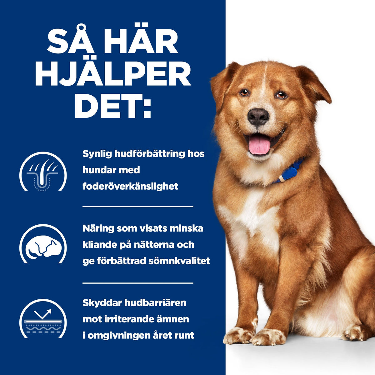 Hill's Prescription Diet Derm Complete Adult Hundfoder