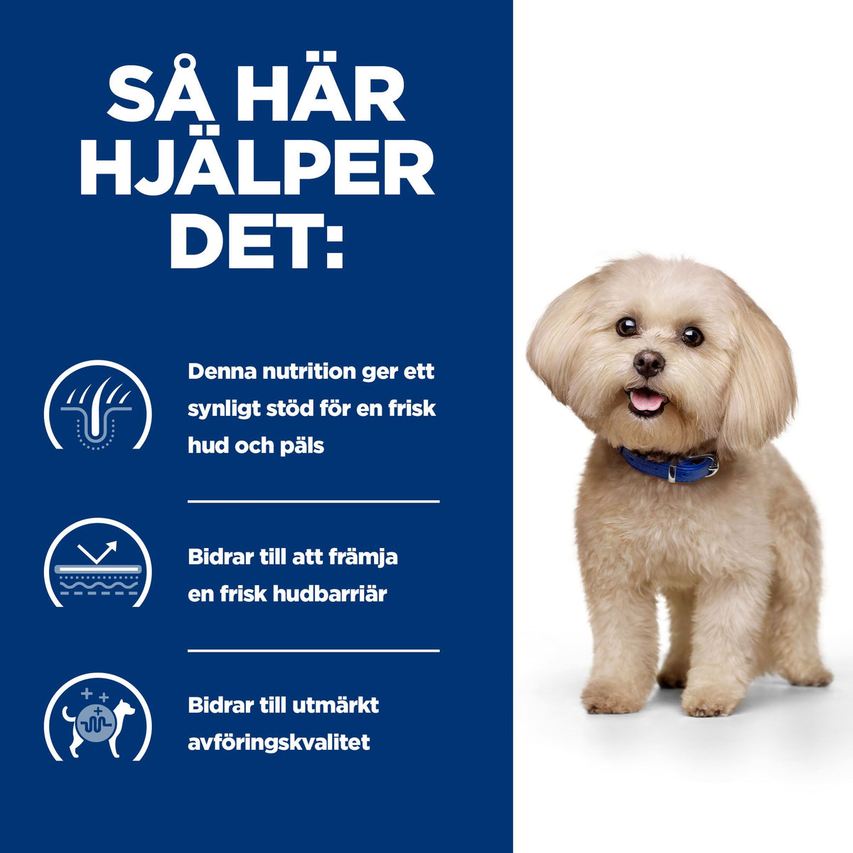 Hill's Prescription Diet z/d Mini hundfoder