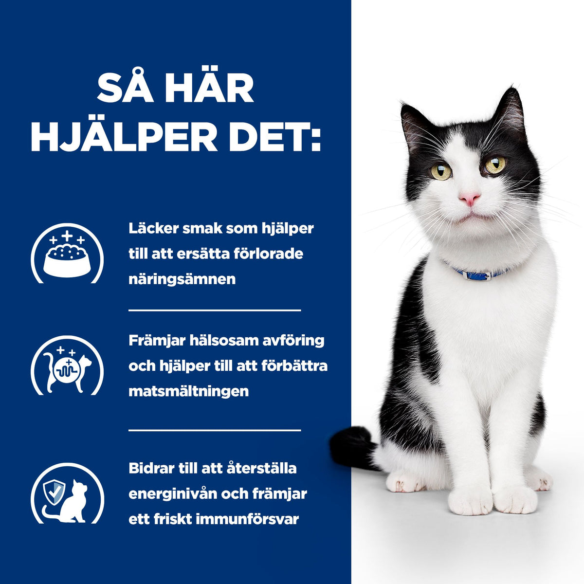 Hill's Prescription Diet i/d Kattfoder Lax