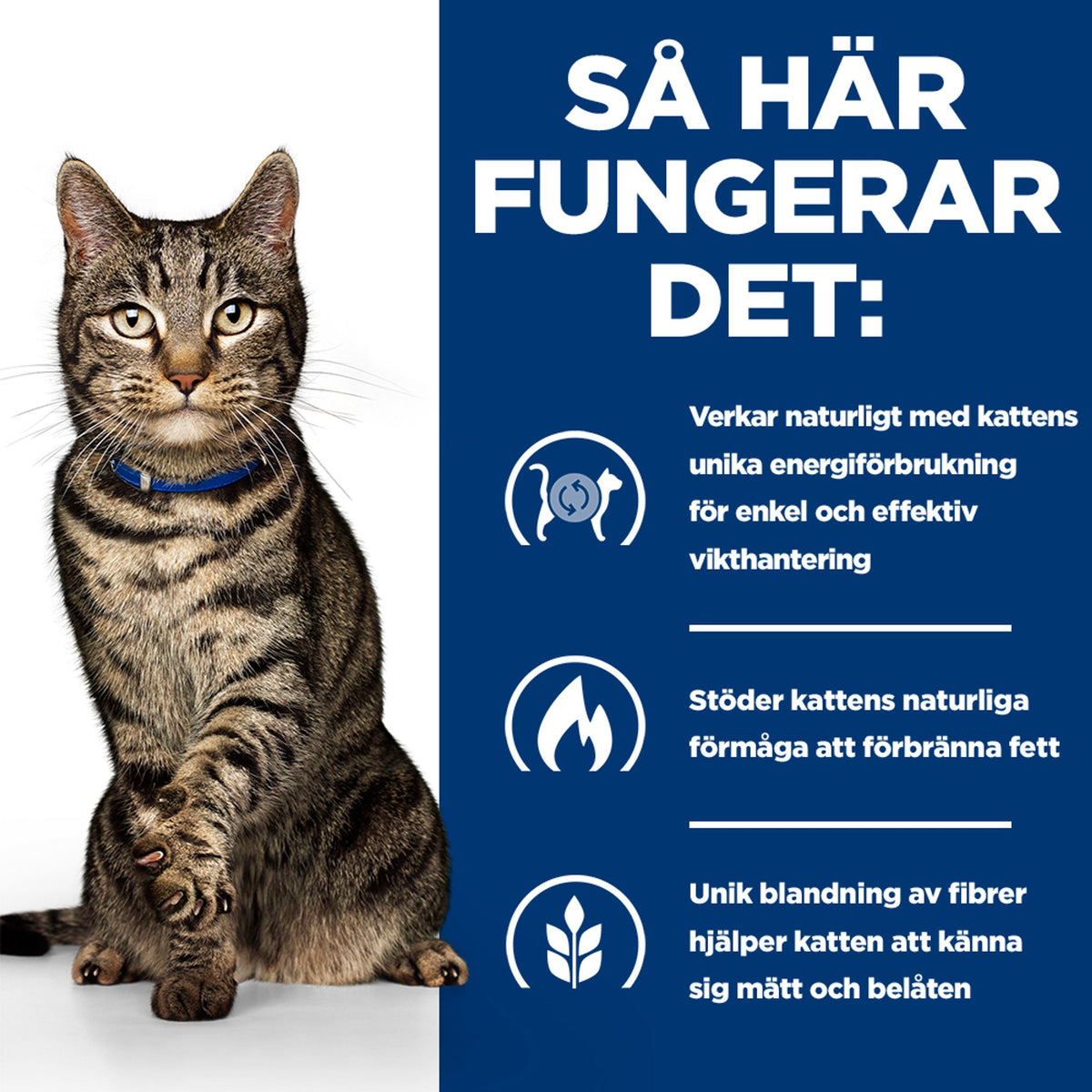 Hill's Prescription Diet Metabolic kattfoder med lax