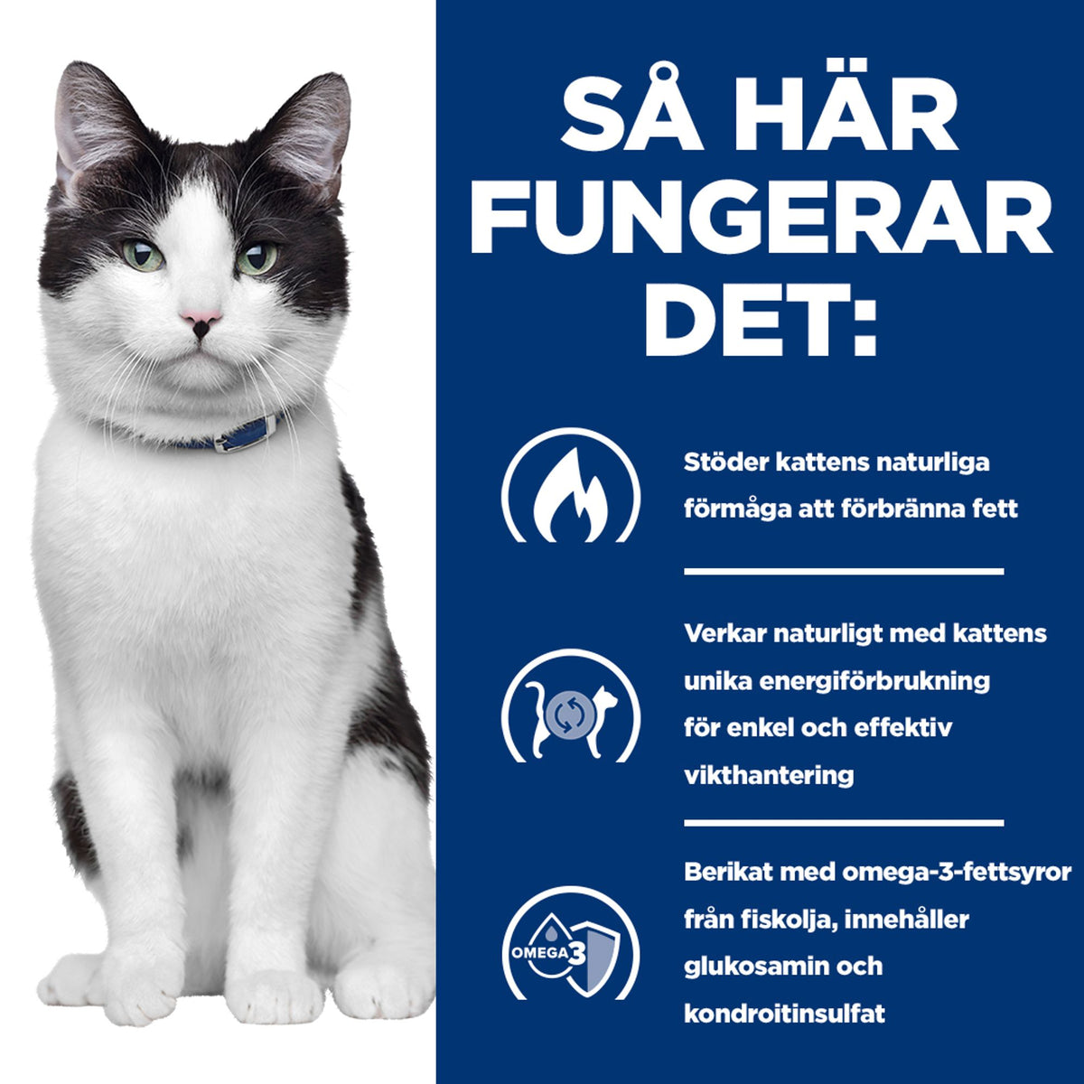 Hill's Prescription Diet Metabolic + Mobility kattfoder med kyckling