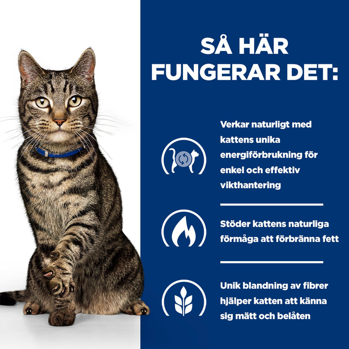 Hill's Prescription Diet Metabolic kattfoder med kyckling
