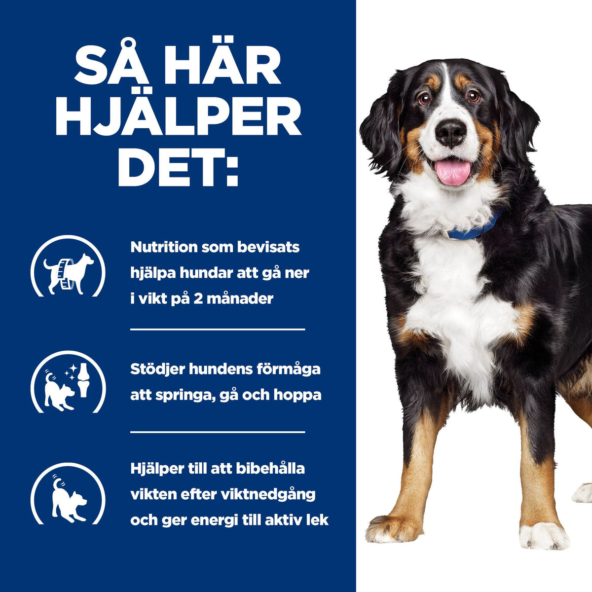 Hill's Prescription Diet Metabolic + Mobility hundfoder
