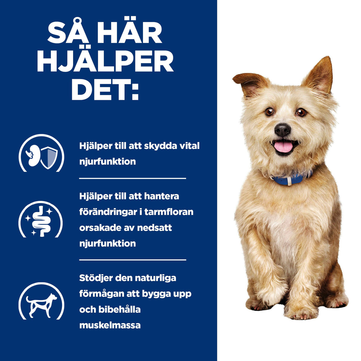 Hill's Prescription Diet k/d hundfoder