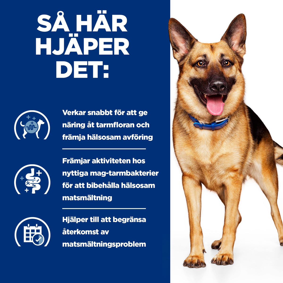 Hill's Prescription Diet Gastrointestinal Biome Adult Hundfoder