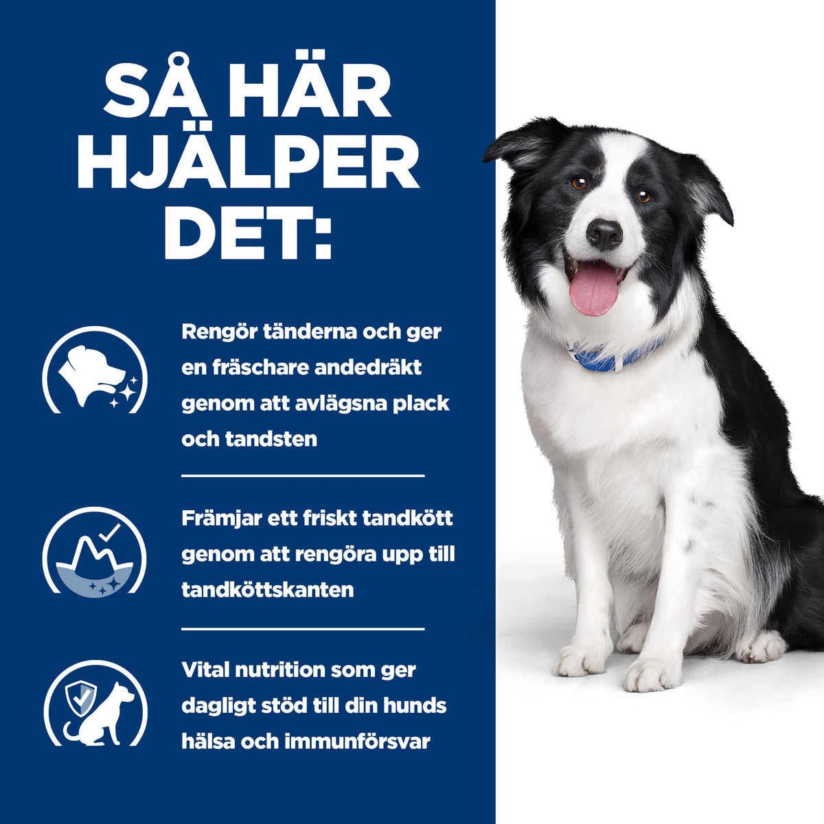 Hill's Prescription Diet t/d Adult Hundfoder