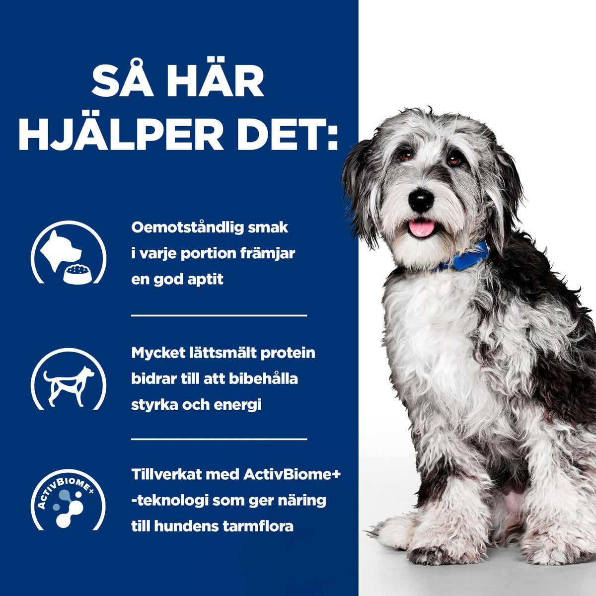 Hill's Prescription Diet On-Care hundfoder