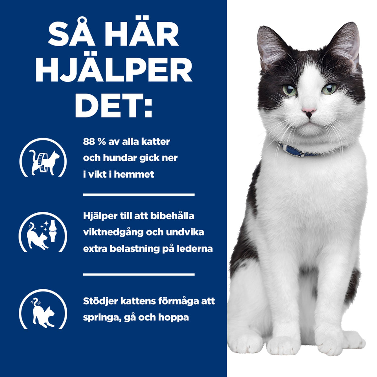 Hill's Prescription Diet Metabolic + Mobility kattfoder