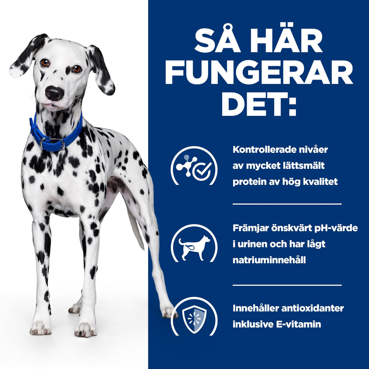 Hill's Prescription Diet u/d torrfoder för hund