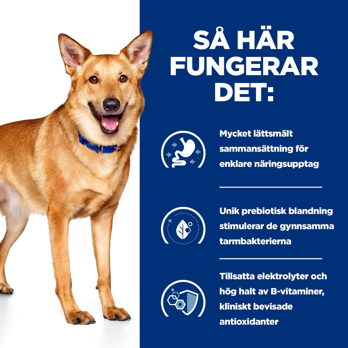 Hill's Prescription Diet i/d hundfoder